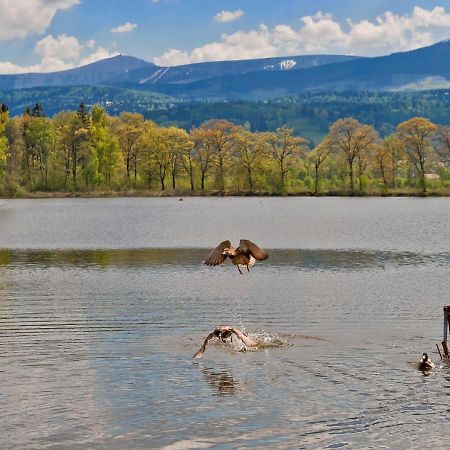 Pokoje Bukowiec Folwark I Park Bagian luar foto