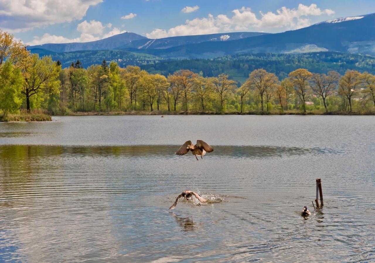 Pokoje Bukowiec Folwark I Park Bagian luar foto